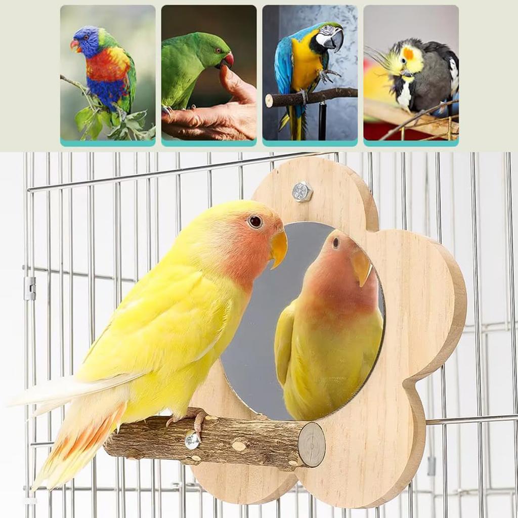 Flower Bird Cage Perch Mirror Bird Cage Hanging Perch Toys with Mirror for Cockatiels Parakeet Small Birds