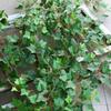 Creative Green Artificial Ivy Vine 80 Leaves 160cm Faux Ivy Photo Props DIY Accessories Simulation Ivy Garland Home Decoration