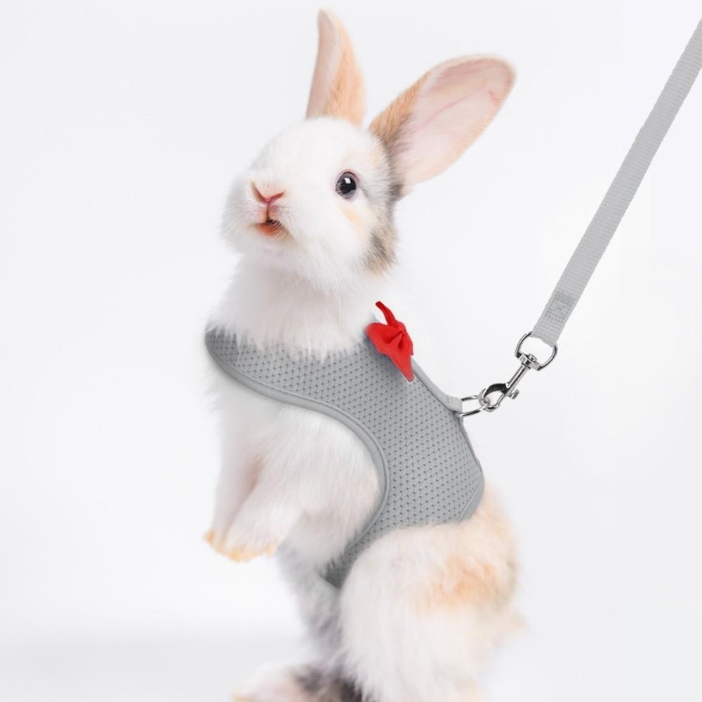 Polyester Rabbit Harness Vest Breathable Pet Walking Leash New Bunny Harness Leash  Small Pets Use