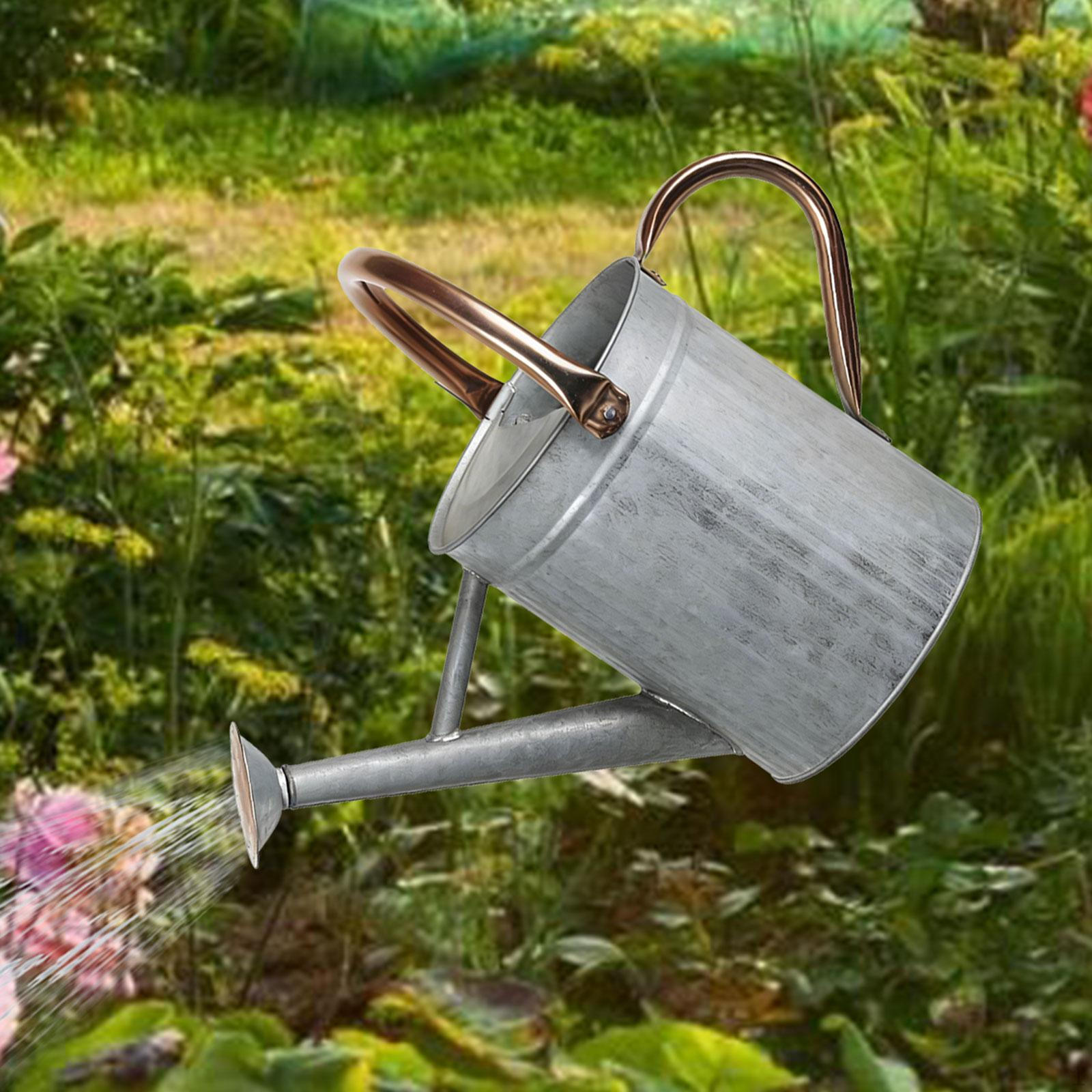 

Watering Can Garden Water Decorative Iron Gardening Tool Pot for Courtyard House Plants