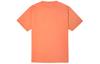 Converse T Shirts Men's Orange Crew Neck Moderate Straight Fit 10021491-A01