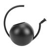 Watering Can, 1000ml Stainless Steel Indoor Plant Watering Pot with Comfortable Handle and   Spout, for   Garden Decor