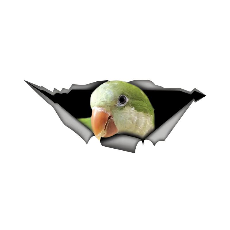 

Quaker Parakeet Car Stickers, Weather-Resistant Vinyl Stickers for Windows, Bumper Crafts - PVC Material Vehicle Decals 15cm-Longest Side