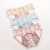 3pcs Leakproof Children Menstrual Pants Cotton Underwear Cute Cartoon Period Panties Fashion Underpants