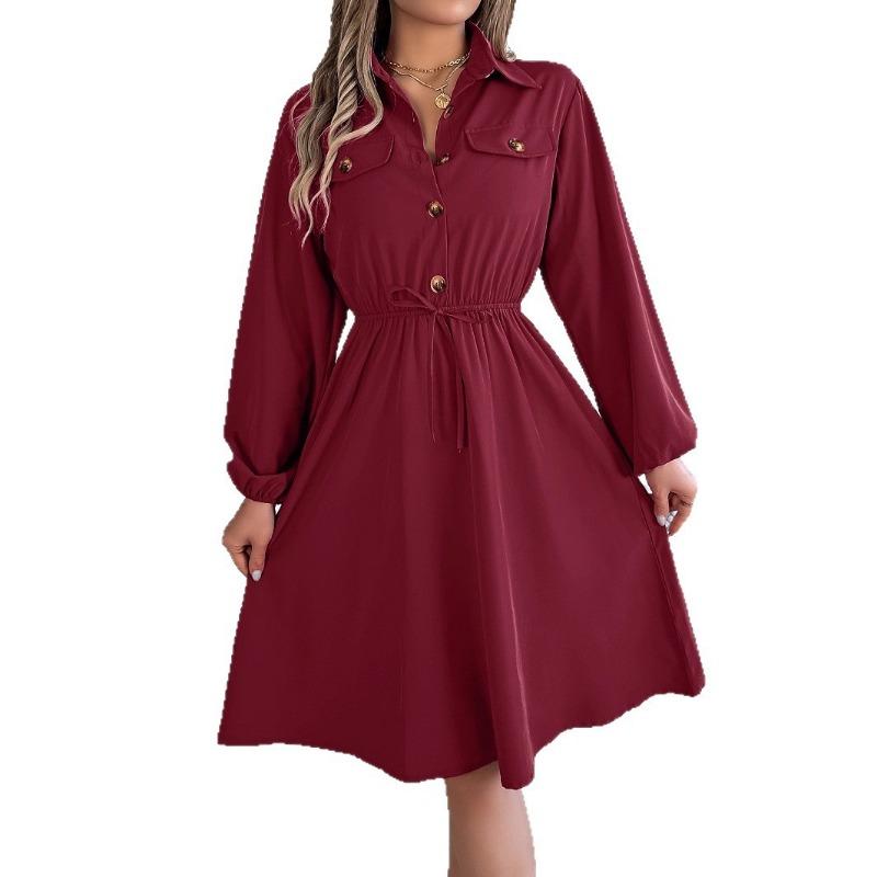 Casual Lace Up Waist Long Sleeve Solid A Line Shirt Dress For Women