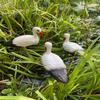 White Crane Crane Statue Detachable Wire Feet Bird Ornament  Outdoor Yard Decoration