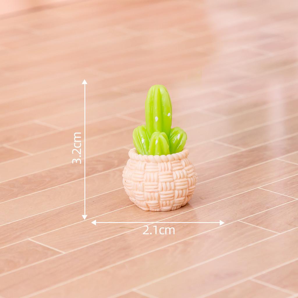 

Реалистичные полимерные миниатюры кактусов для создания сказочных садов своими руками и для декора офисного стола 2Cactus