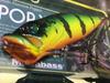 Megabass POP-X SP-C Rasta Peacock Limited Color Topwater Lure Sealed Rare