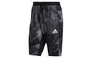 Sports Shorts Men's Light Gray Moderate GH5161