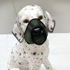 Pet Supplies Breathable Dog Muzzle Mask Adjustable Anti-Eating Dog Mesh Mask Elastic Pet Anti-Barking Mask Outdoors