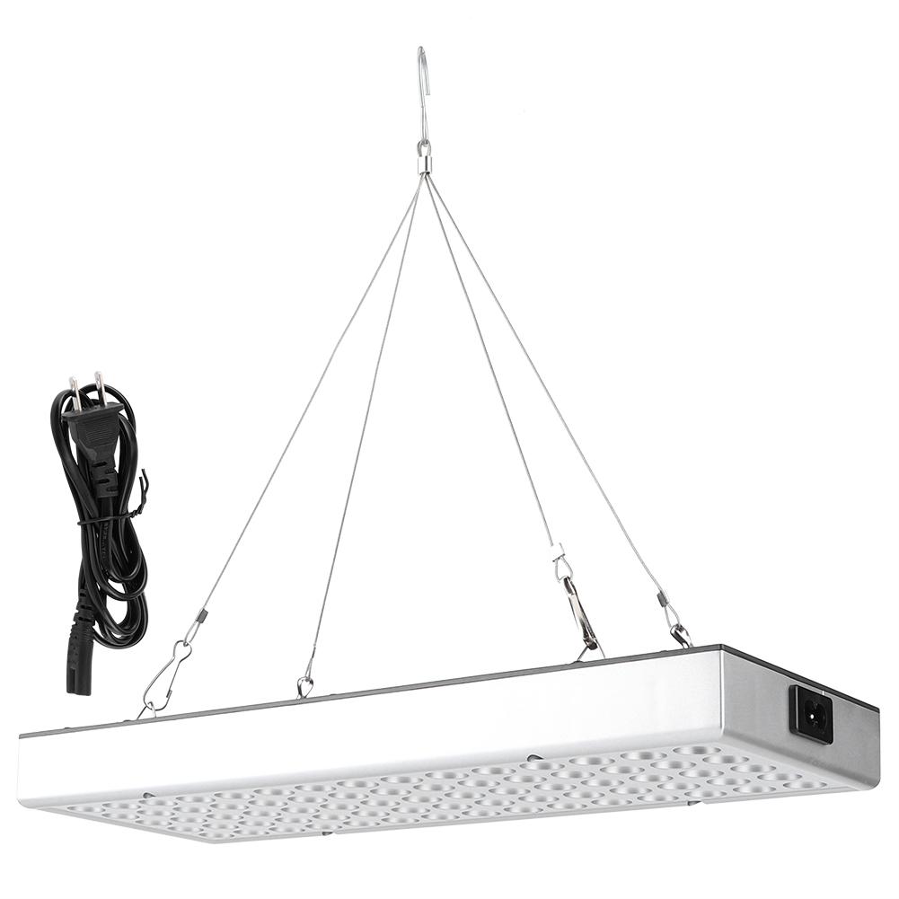 

Plant Growth LED Light Full Spectrum Growing Lights for Greenhouse Horticulture