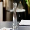 Eco Micro Landscape Hydroponic Glass Vase for Single Stem - Transparent, Creative, Simple Flower Arrangement Decor