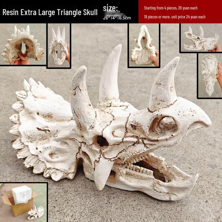 Akril Hüllőtenyésztő Doboz Dekoratív Koponyával