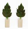 [A&K] Extremely Budget-Friendly Sakaki Trees, Mini Size, Made with Natural Japanese Sakaki Leaves, Perfect for Heat, Will Not Rot, No Replacement