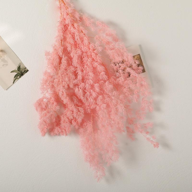 

Eternal Pompadour Dried Flowers Eternal Flower Bouquet Home Decoration Flowers Handmade Bouquet DIY Materials Florist Supplies