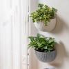 Coșuri de Vază din Plastic Împletit Ratan Suspendate Coș de Perete Ghiveci de Flori din Nuiele Făcut Manual Plantator de Flori Cachepot Ghivece pentru Plante Curgătoare de Casă