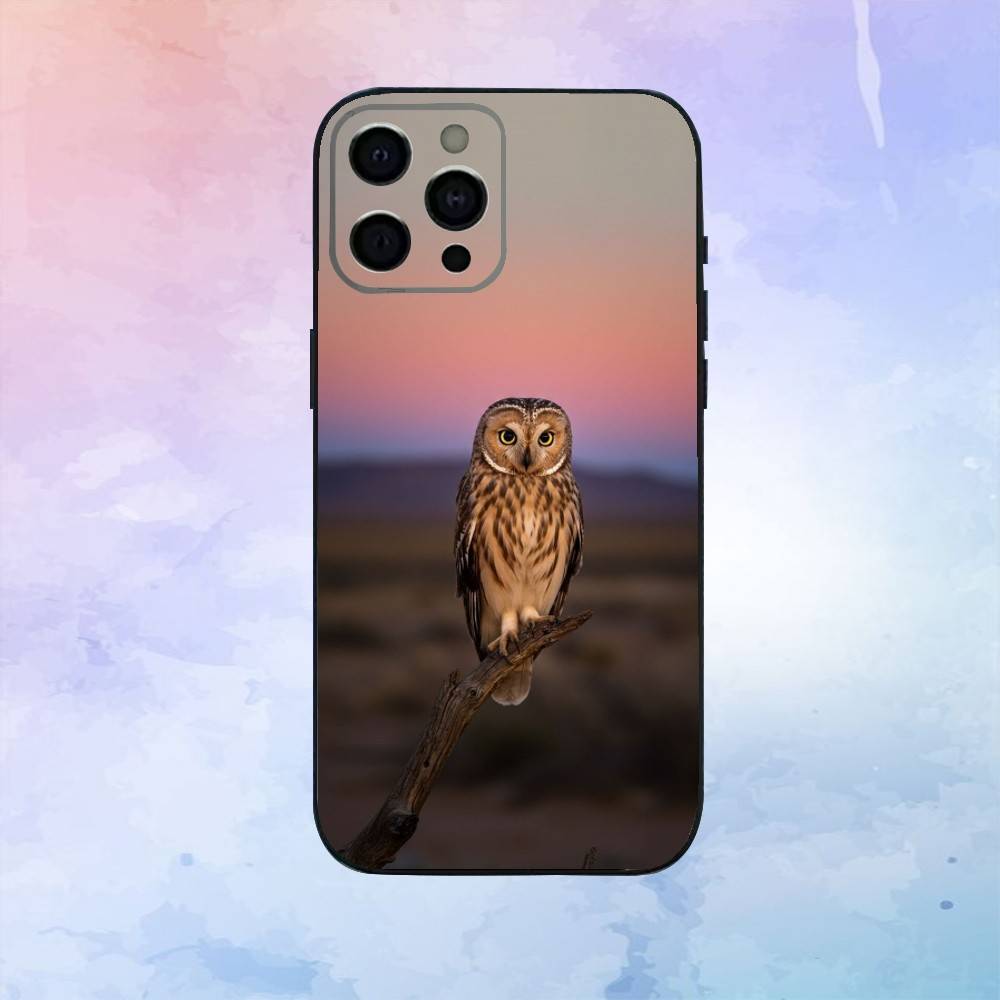 Cute Owl Phone Case  For iPhone17,16,15,14,13,12,11 Plus,Pro Max Soft Black Cover