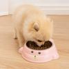 Non-slip Cat Water Bowl Anti Tip Dog Food Bowl Anti-Spill Pet Feeder  Feeding Drinking