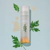 NOWA esencja łagodząca Artemisia (rodzaj mgły) 120 ml