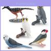 Bird Animal Model With Plastic Material For Home Decor And Collecting