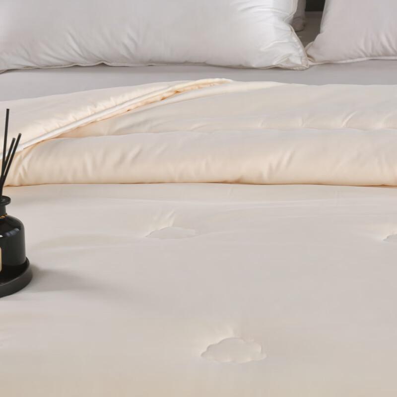 Yalu Soy Protein Fiber Quilt