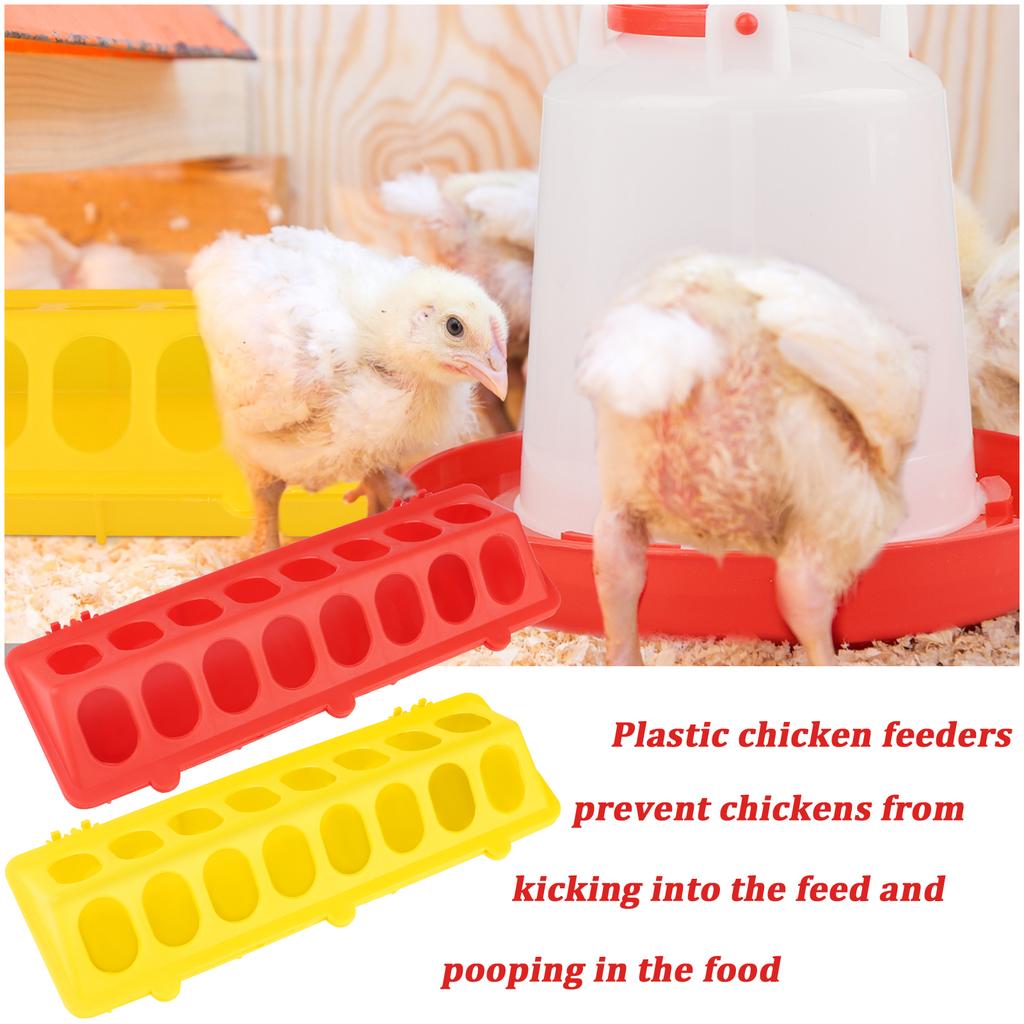 6 Plastic Flip Top Small Poultry Feeder for Pigeon Chicken Feeder Drinker