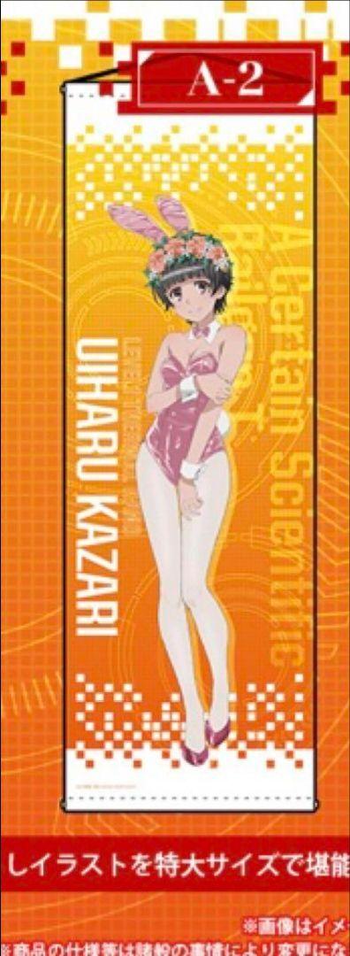 

[USED] A Certain Scientific Railgun Uiharu Kazari Long Tapestry