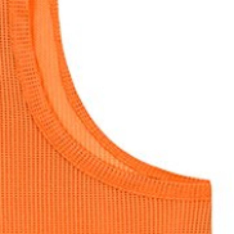 Puma Team Vest Bib Vest