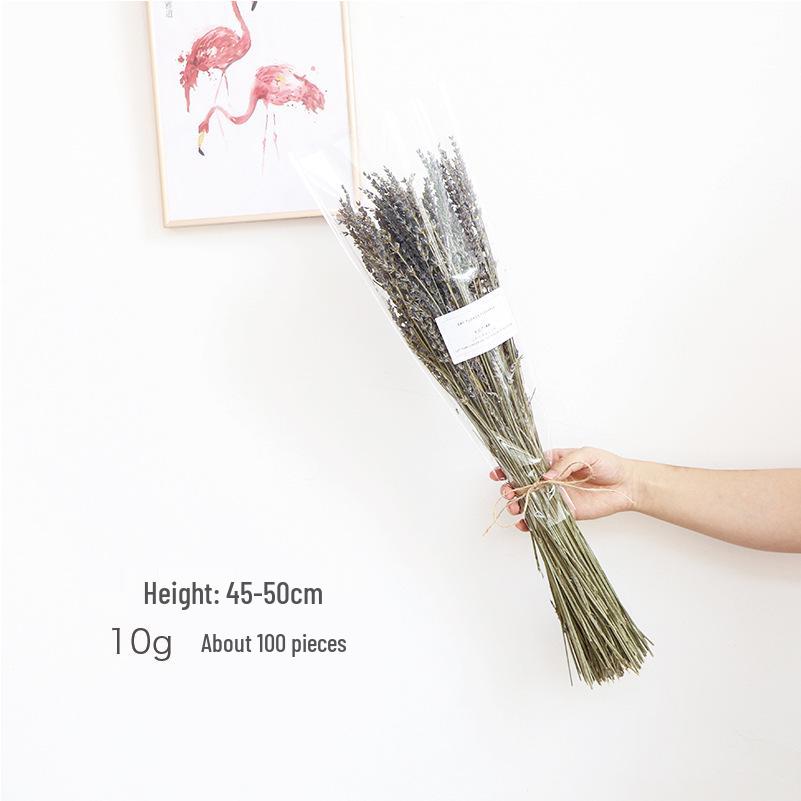 High-End Wabi-Sabi Dried Flower Decor: Natural Reeds & Wheat for Living Room or Homestay.
