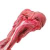 Giocattolo Osso Realistico per Cani Osso di Gomma Osso da Masticare per Cani Giocattolo per la Dentizione dei Cuccioli Giocattolo per la Pulizia dei Denti per Masticatori Aggressivi