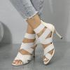 Super High Heels Women's Sandals Fashion Straps High Heels Ankle Boots Women Gladiator Sandals Broadband Back Thin Heel Sandals