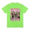 Professional Yapper Meme T-Shirt Funny Cat Lovers Graphic Short Sleeve T Shirt 100% Cotton Casual Comfort Loose T-shirts Unisex
