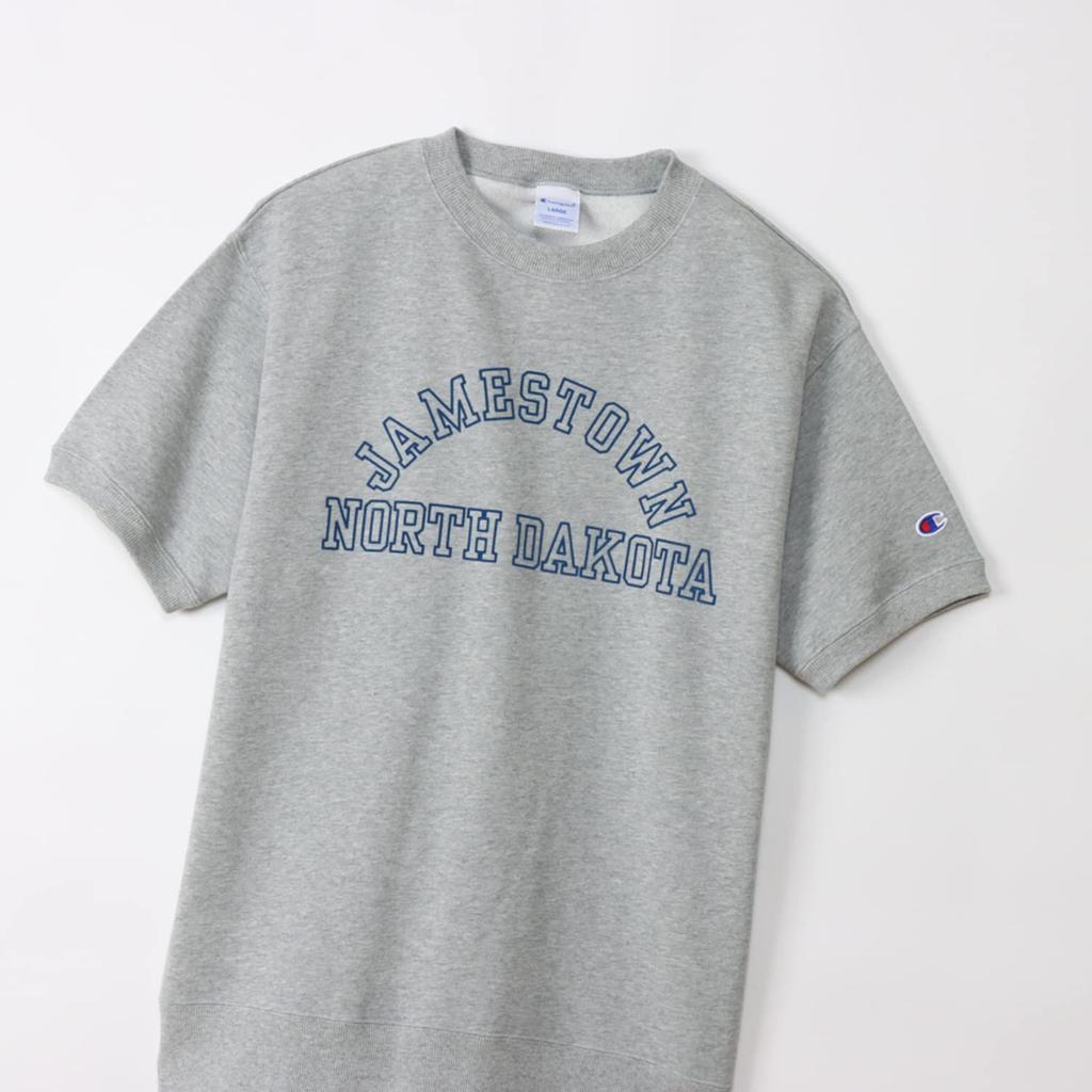 Champion Short Sleeve Crew Neck Oxford Size USA Collegiate Graphic Print Men's Sweatshirt, Basic, Gray, M, C3-X017, Cotton, Fleece,