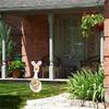 Spring Easter Outfit Cute Easter Porch Outfit For 23in Outdoor Patio Yard Art Decoration