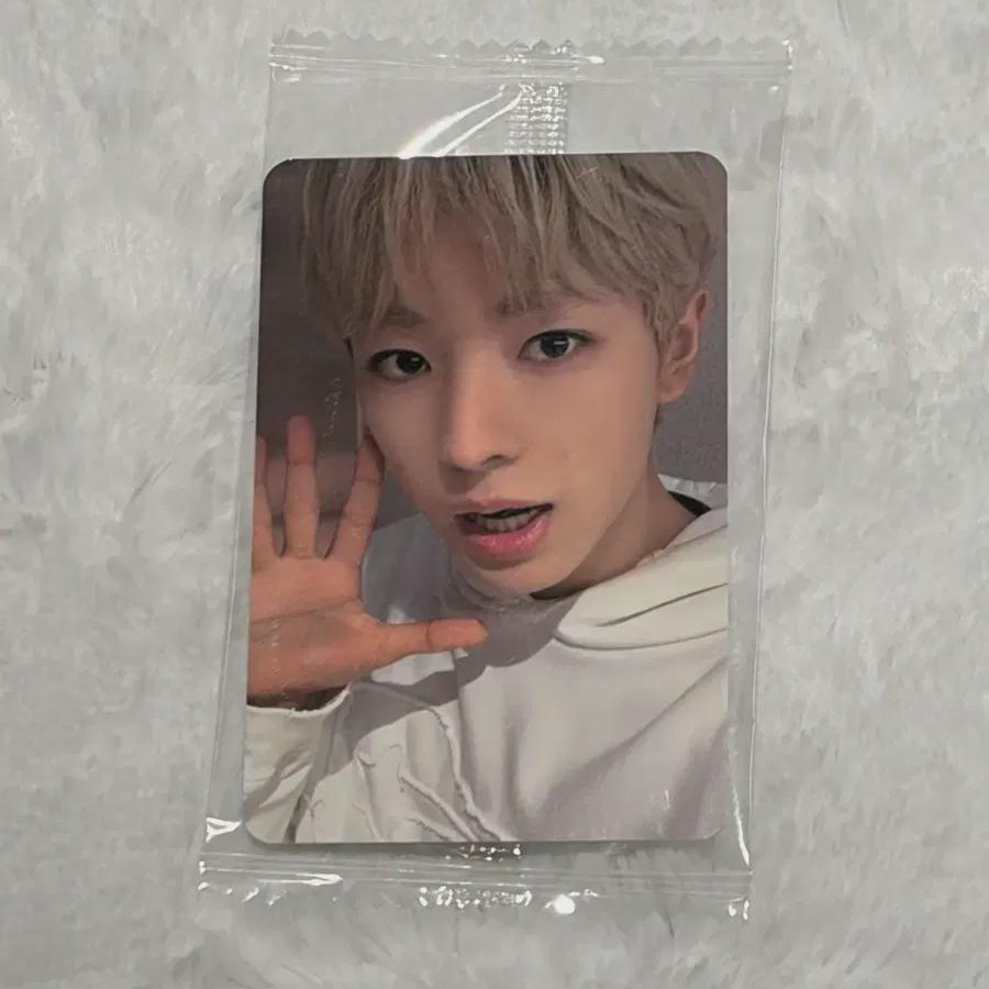 Ncitywish Nct Wish Color Ketapo Michopo Yuushi Photocard