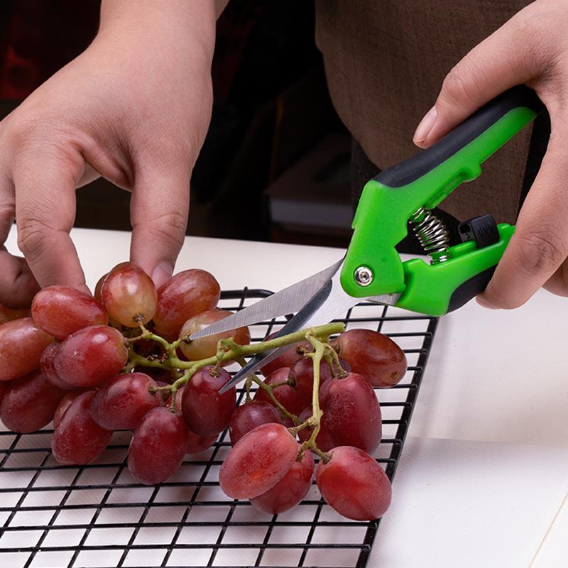 Ergonomic Pruner For Garden Work Gardening Scissors For Precise Cutting Of Plants Branches Fruits Essential Garden Scissors