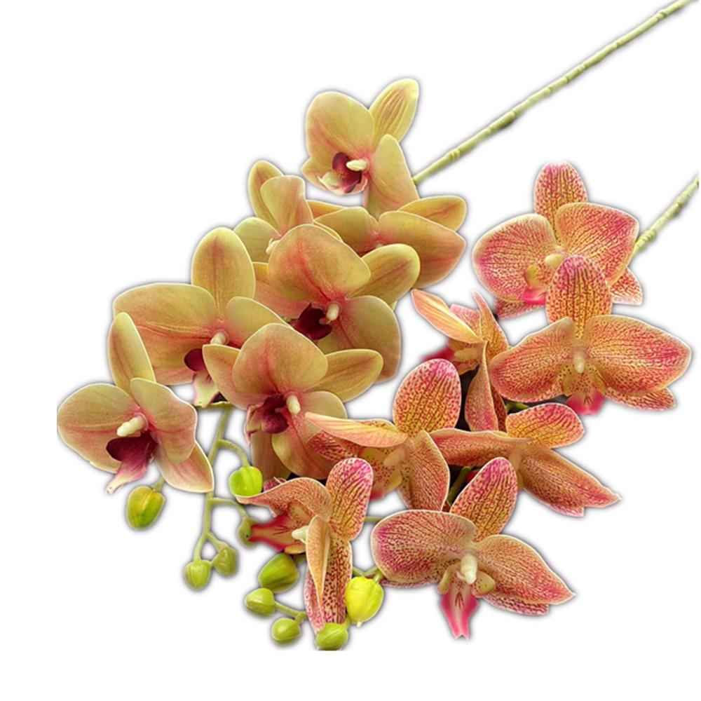 One Real Touch Butterfly Orchid Flower Branch Seven Heads Artificial Moth Phalaenopsis Orchid