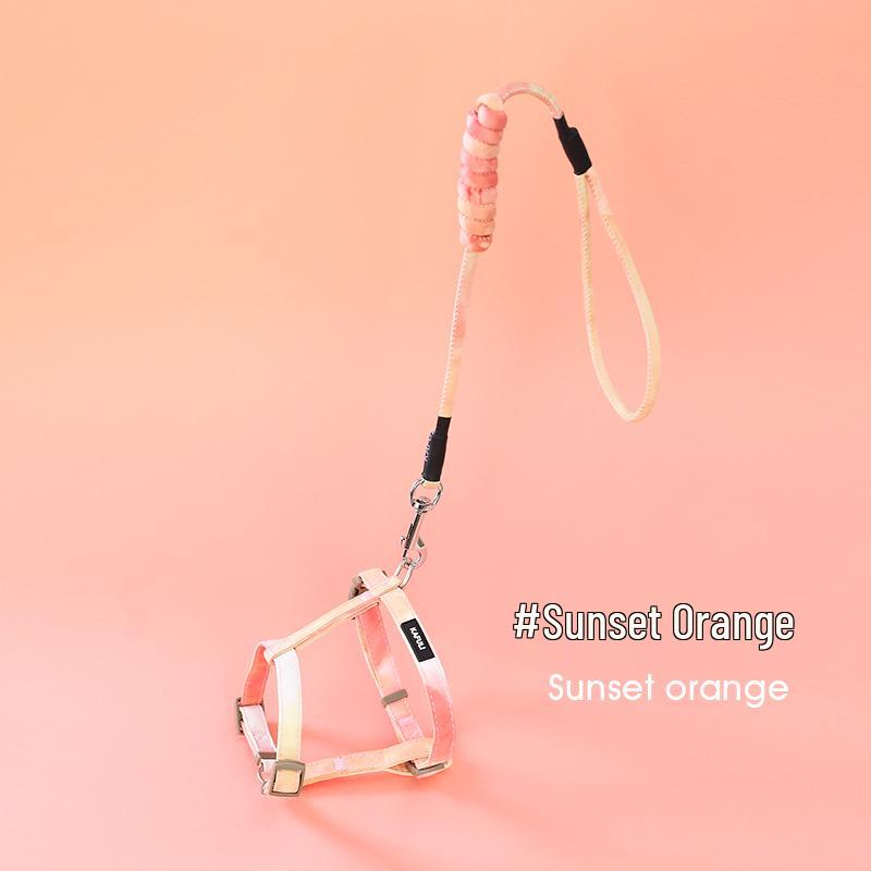 

Anti-Escape Cat Leash and Harness - Outdoor Essential S: 22-30CM