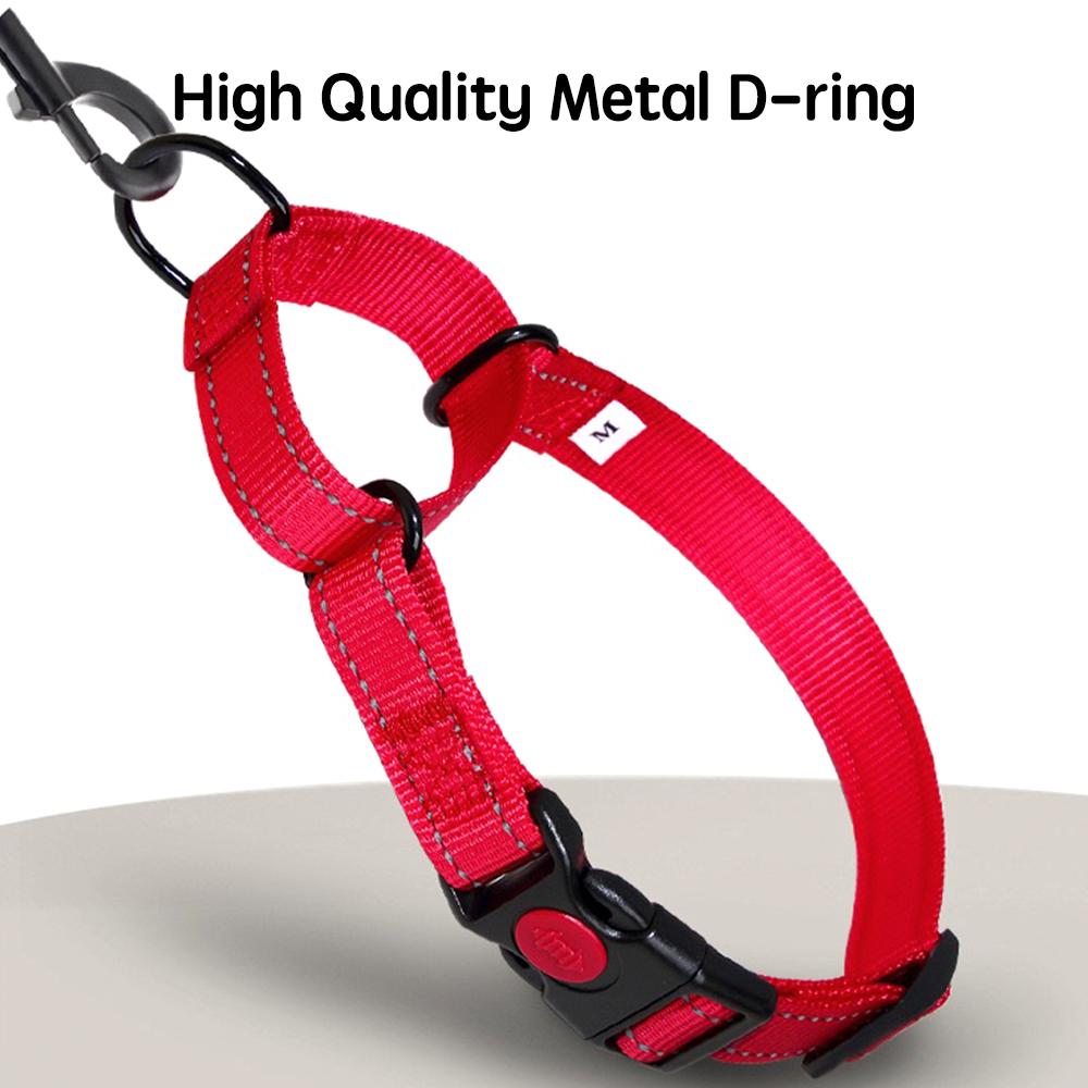 Adjustable Pet Dog Collars Safety Lock On Nylon Golden Retriever Neck Leash Accessories Outdoor 2 in 1 P Chain Pet Supplies