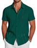 Men's 3D Printed Hawaiian Short Sleeve Vacation Shirt
