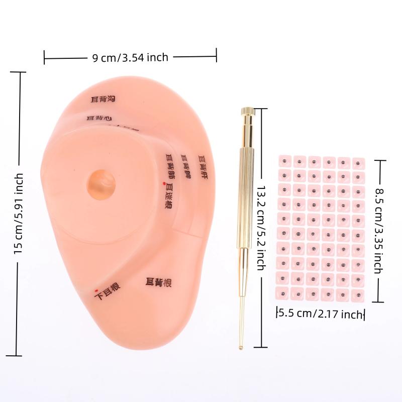 Pvc Material Ear Massage Model Reflex Area Acupoint Teaching Auricle Therapy Tool Ear Acupuncture Model Medical Supplies Health
