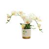 Artificial Flower in Pot Flower Arrangement Faux Phalaenopsis Orchid for Kitchen New Year Bedroom Housewarming Living Room