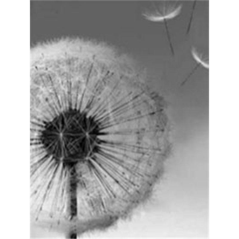 

DIY Алмазная картина Черно-белый одуванчик Набор для вышивки крестом Мозаичное искусство Алмазная картина Полный круг/квадрат Алмазное украшение для дома Round 30x40cm
