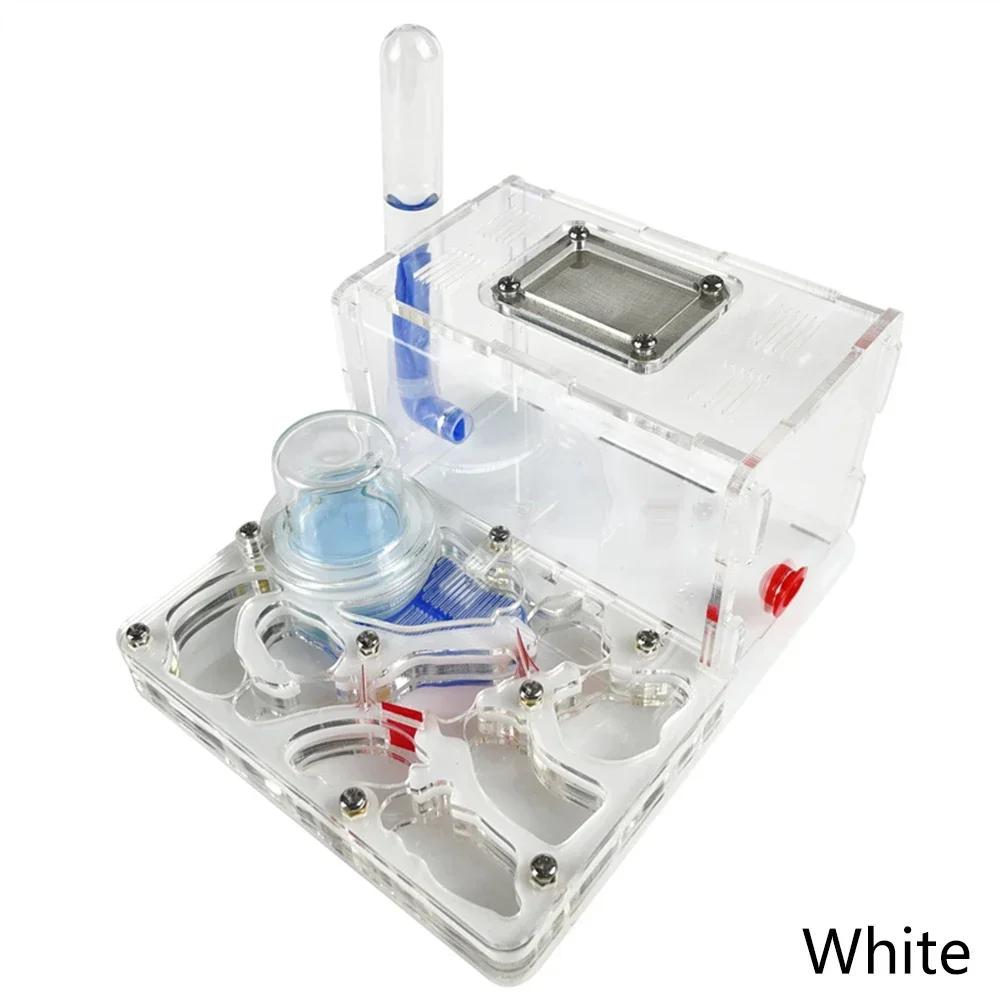 DIY Acryl Flat 3D Ant Farm Ant Nest with Feeding Area Ant House Insect Villa Pet Anthill Workshop with Moisturizing Water Tower