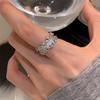 Light Luxury Exquisite Super Flash Gypsy Zircon Ring Cold Wind Niche Versatile Ring