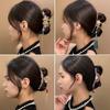 Elegant Hanfu Shark Hair Clip with Long Tassel for Women's Makeup and Hair Accessories