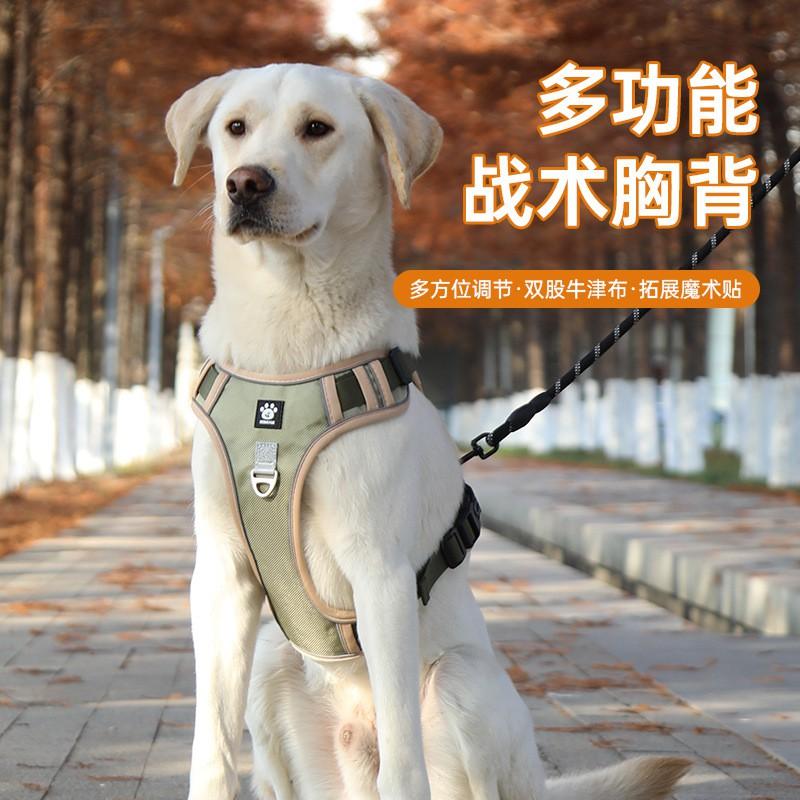 Adjustable Dog Harness Vest With Leash Medium To Large Breeds Golden Retriever Labrador Outdoor Walking Comfort Fit