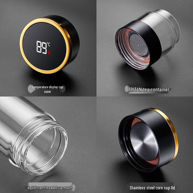 Smart Temperature Double-Layer Glass Tea Infuser Bottle
