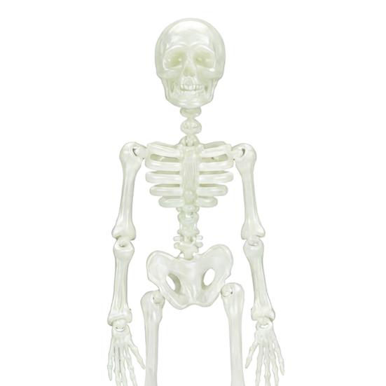 Fish Tank Air Driven Ornament Dancing Skeleton Aquarium Bubbler, 3D Printed Powered Moving Skull Ornament, Halloween Gothic Decorative Bubbler