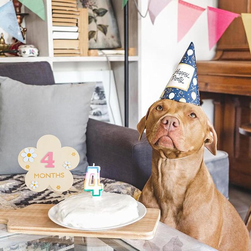 Newborn Flower Photography Accessories Newborn Photography Props Baby Accessories Milestone Wooden Sticker Shooting Props Gifts